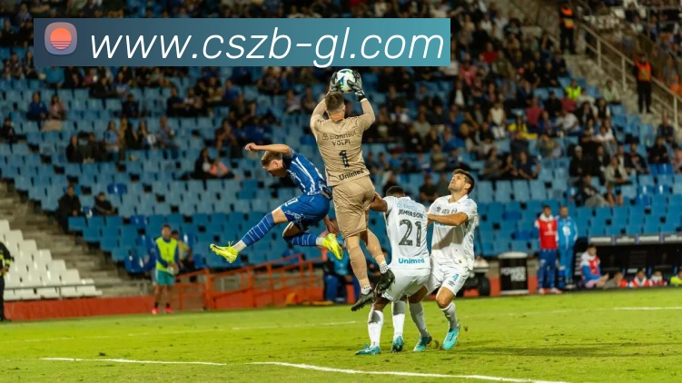 奖项证书